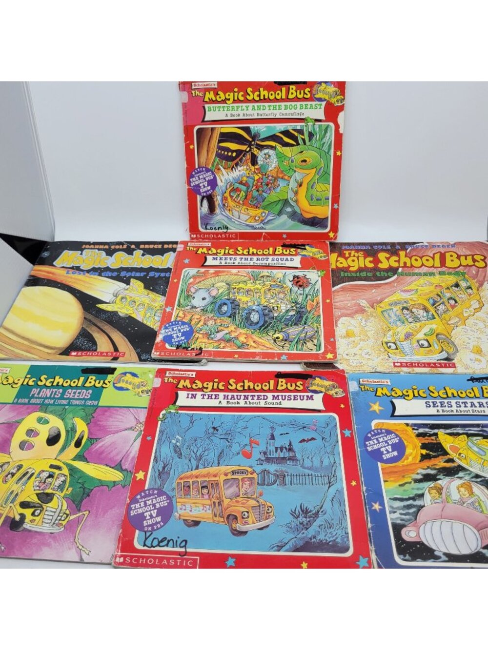 MAGIC SCHOOL BUS Lot of 7 Children's Books by Joanna Cole - BB001